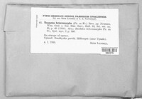 Image Associated With the Occurence